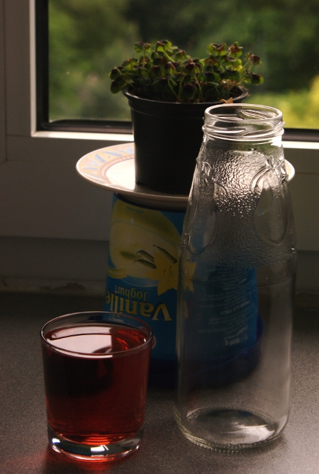 campari soda still life